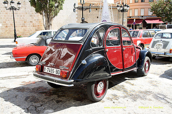 VIIConcGandia063