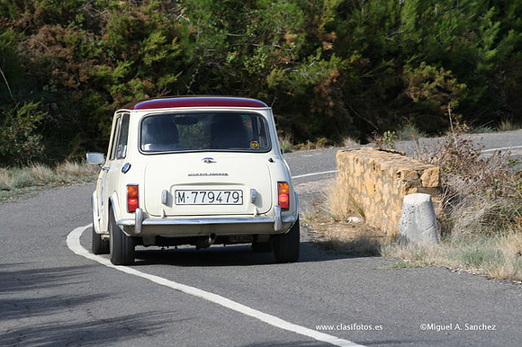 RallyTuris164