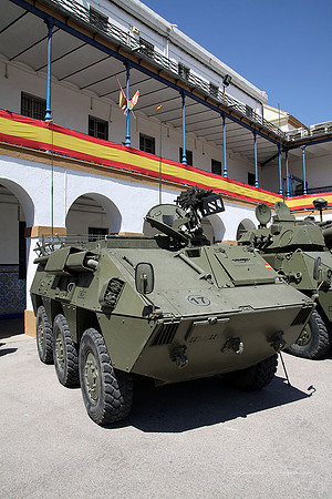 MuseoVivo20170187