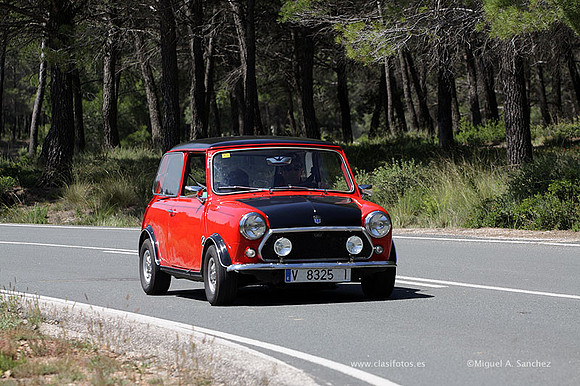 VIIConcentracionUtiel239