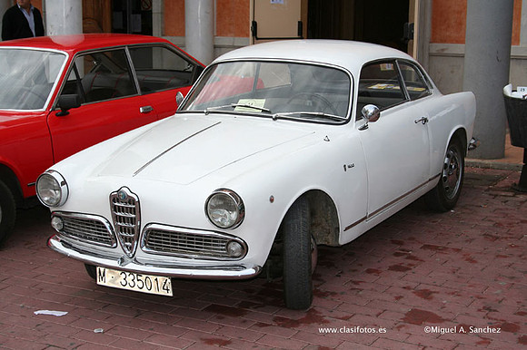 RallyTuris008