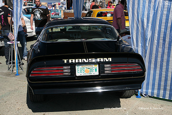 FVCP2009205