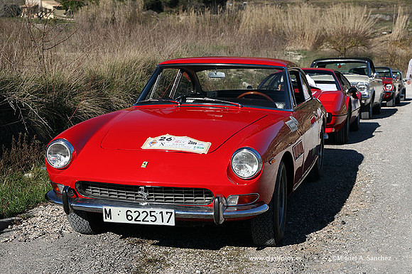 XRallyeEnero295