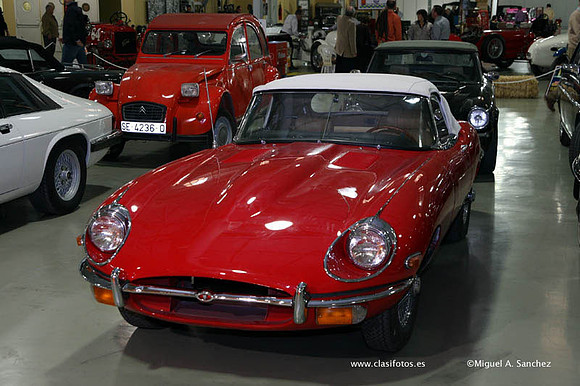 VAnticAutoAlicante004