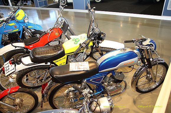AnticAuto_2013158
