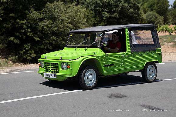 VIIConcentracionUtiel539