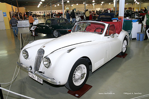 AnticAuto2009131