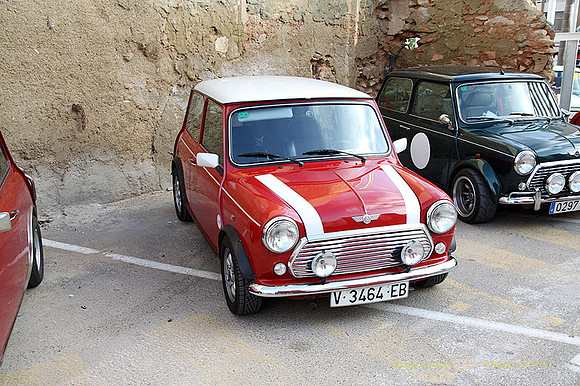 XConcentracionTorrente098