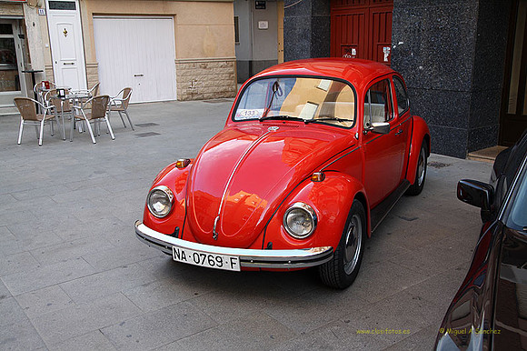 XConcentracionTorrente129