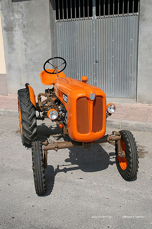 ConcentracionBocairent09292