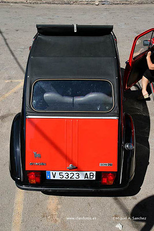IIConcentracionLoriguilla0044
