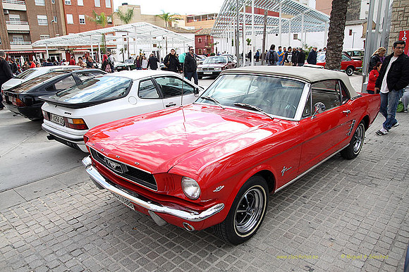 XConcentracionTorrente260