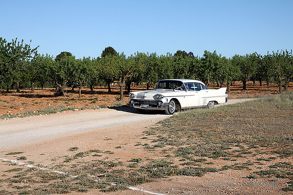 IIIEncuentroAmigosDelMotor052