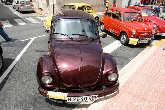 IVConcentracionciudaddeGandia0070