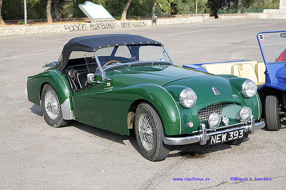 IVConcAlzira055