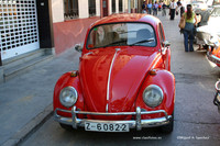 Chiva008