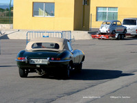 DSCF5561