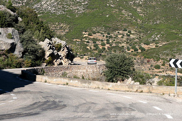 IVRallyTuris0358