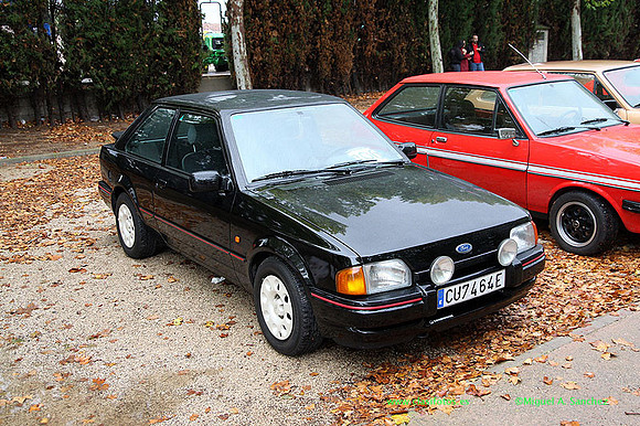VIIIConcentracionUtiel053