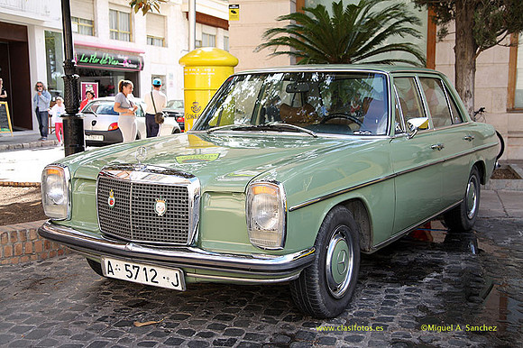VIIConcGandia011