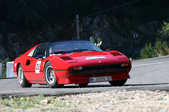 XRallyeEnero213