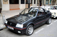 XConcentracionTorrente010