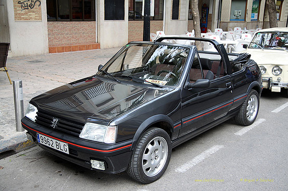 XConcentracionTorrente010