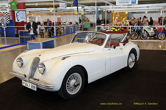 AnticAuto_2013140