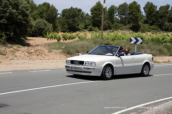 VIIConcentracionUtiel585