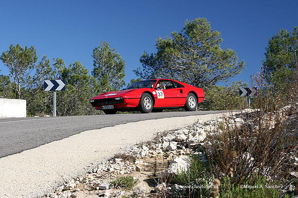 XRallyeEnero414
