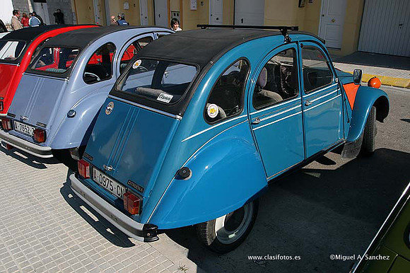 Rotova2009038
