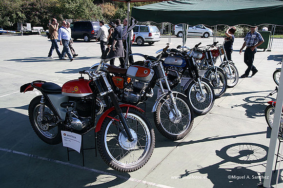 FVCP2009093