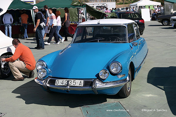 FVCP2009165