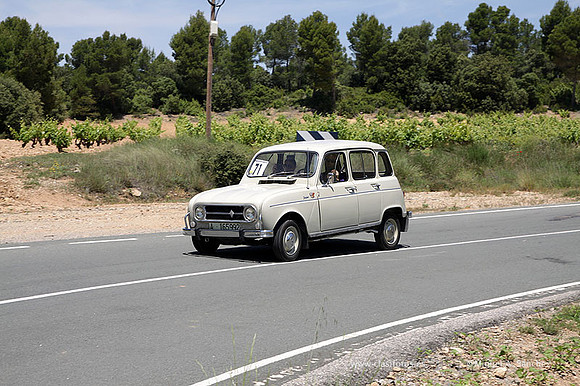 VIIConcentracionUtiel515