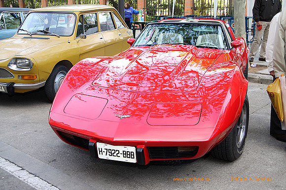 ConcentracionOrriols2013_133