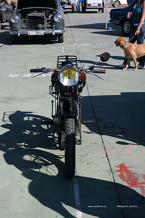 FVCP2009117