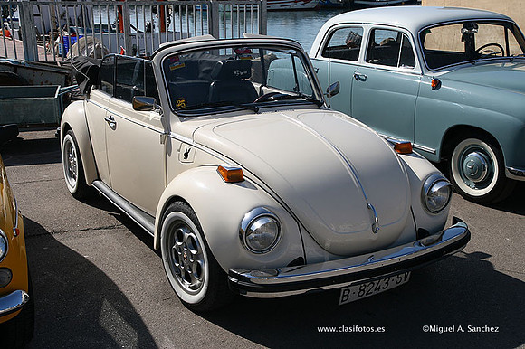 CasesdeAlcanar09084