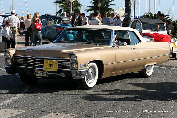 VConcGandia291