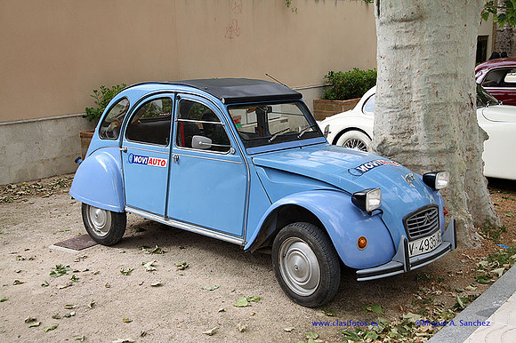 IX ConcUtiel001