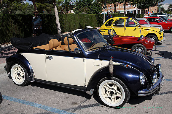 IIConcMoraira126