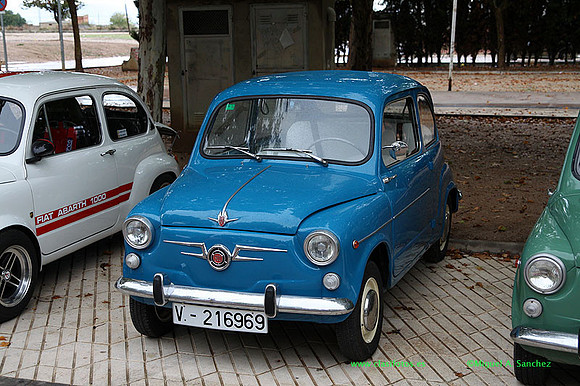 VIIIConcentracionUtiel015