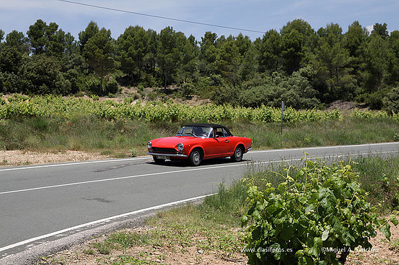 VIIConcentracionUtiel598