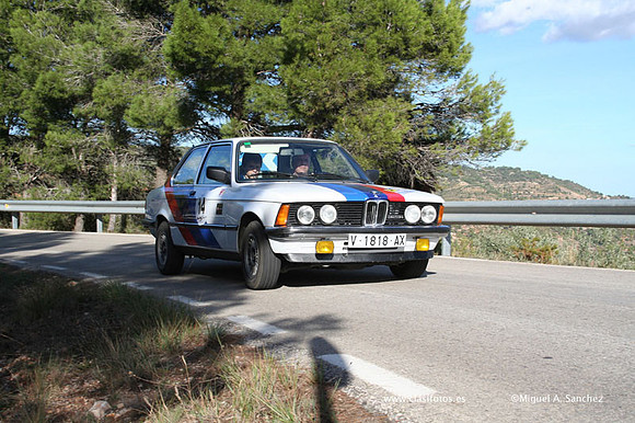 RallyTuris290