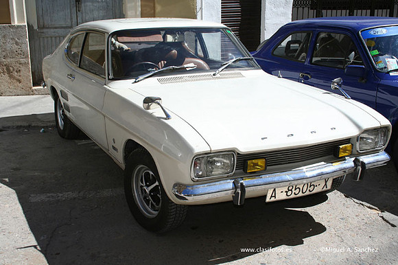 Chiva049