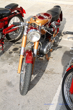 FiraOndara2012095