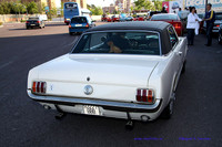 CabalgadaMustang355