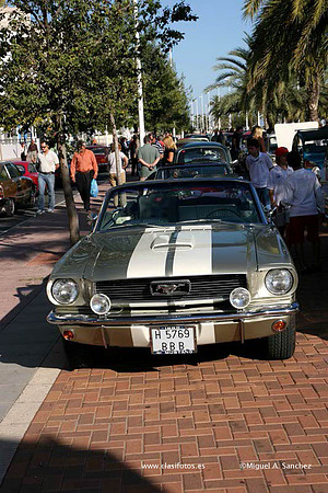 VConcGandia180