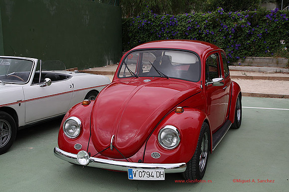 ConcentracionAlborache014