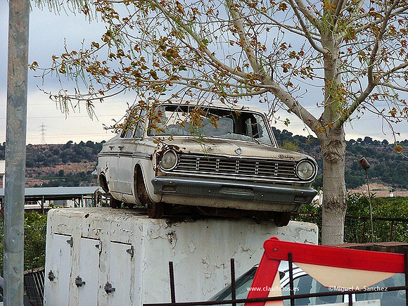 DSCF1082