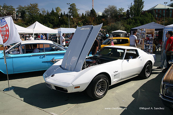 FVCP2009176
